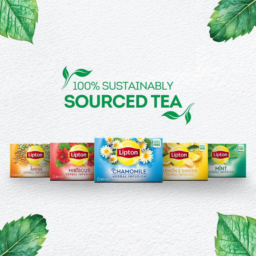 LIPTON INFUSIONS MINT TEA BAG 20S