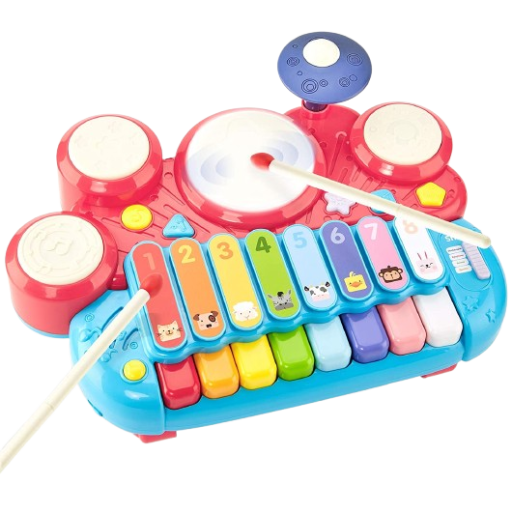 MUSICAL INSTRUMENTS