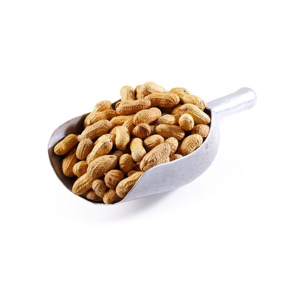 AL-NASEEB PEANUT WITH SHELL 400 GM  PC