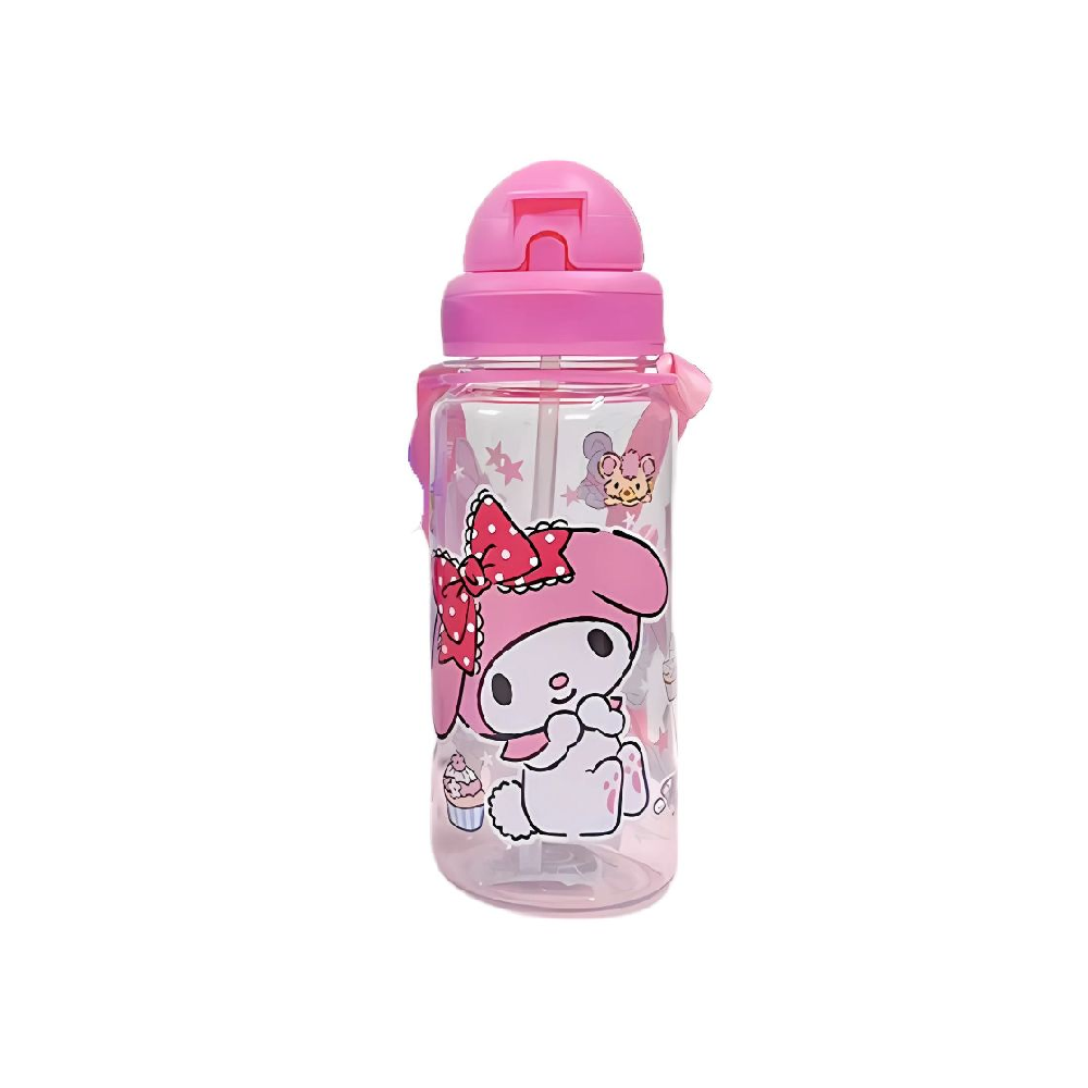 X3912 WATER BOTTLE 550ML ASST