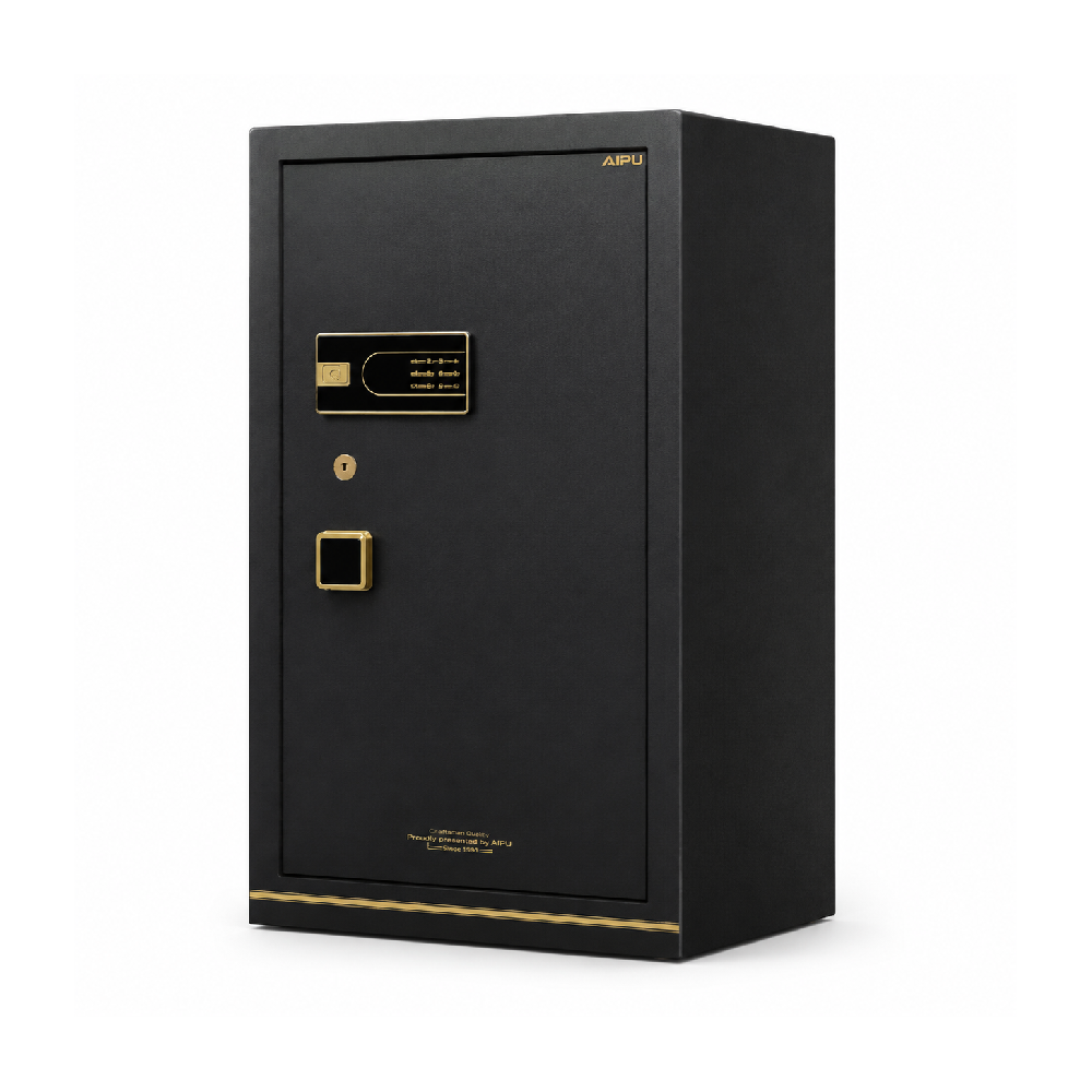 ELECTRIC SAFE IR BGX-5/D1-120SRN