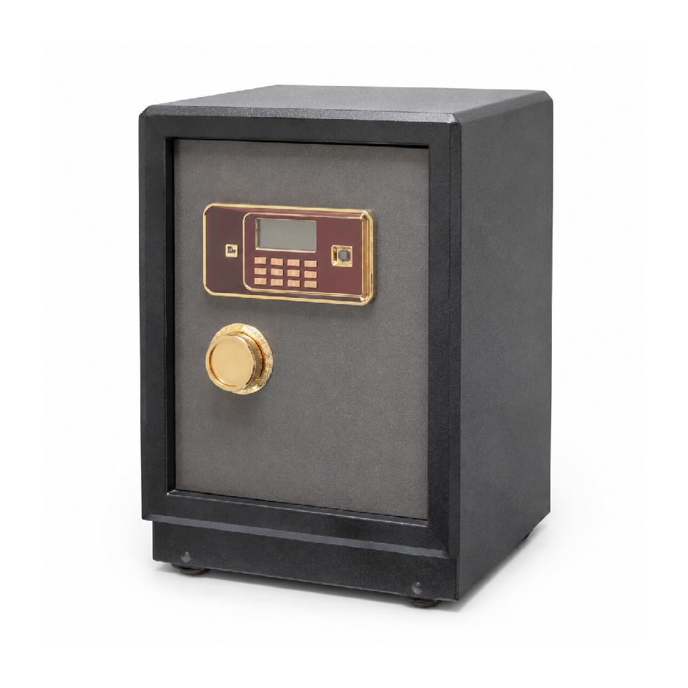 ELECTRIC SAFE D65B