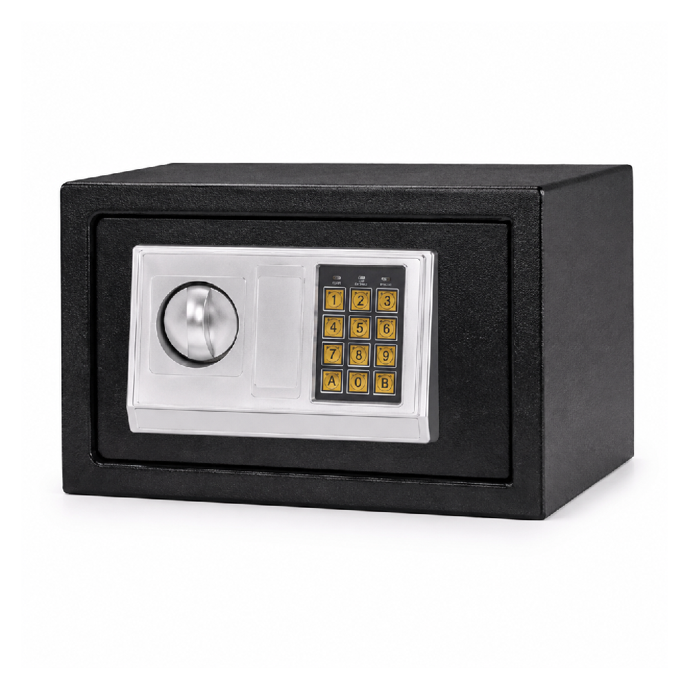 ELECTRIC SAFE IR 25E