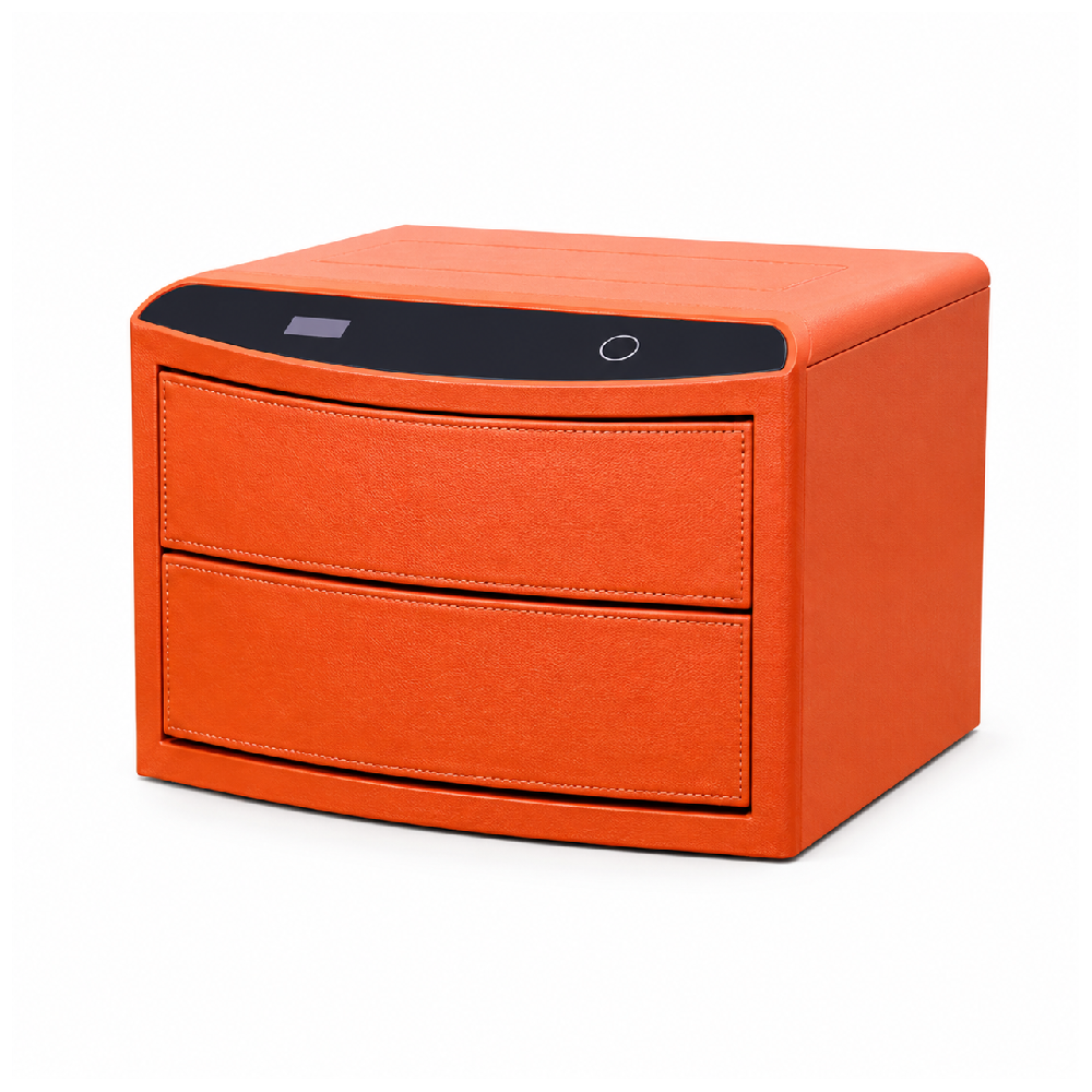ELECTRIC SAFE IR 123-2