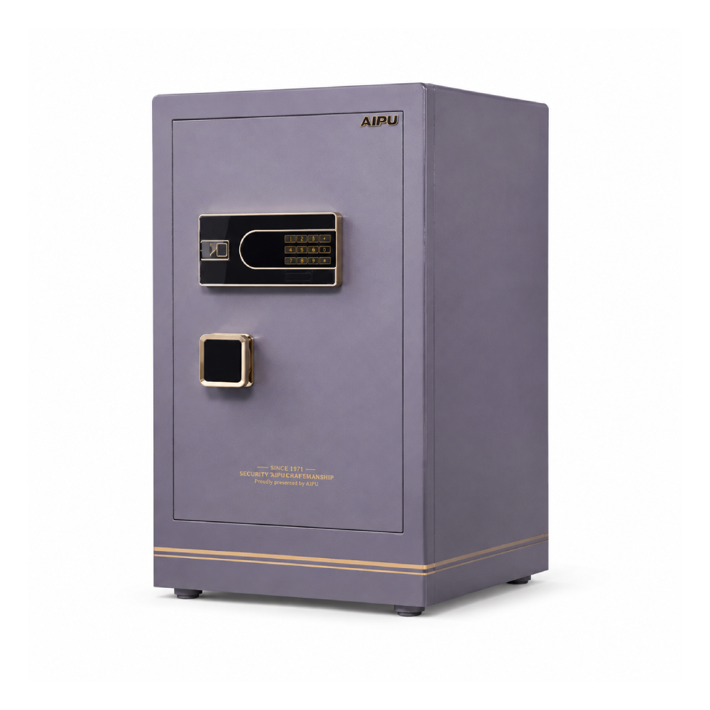 ELECTRIC SAFE IR BGX-5/D1-70SRNLL