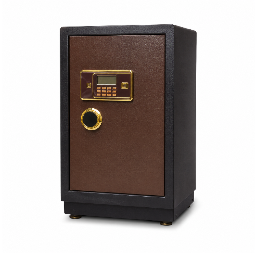 ELECTRIC SAFE IR D-720