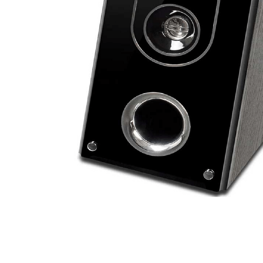 AUDIONIC CLASSIC 5 WITH MIC/REPEAT/DELAY
