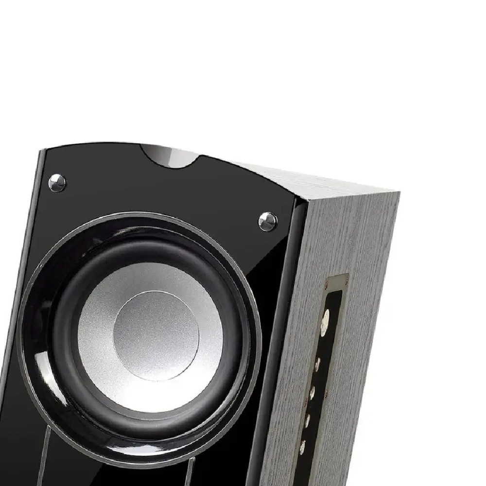 AUDIONIC CLASSIC 5 WITH MIC/REPEAT/DELAY