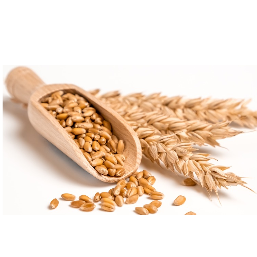 SPECIAL WHEAT 500 GM