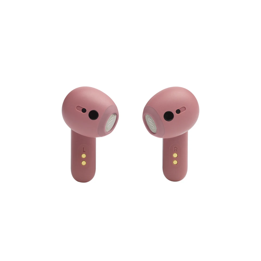 JBL Live Flex Earbuds