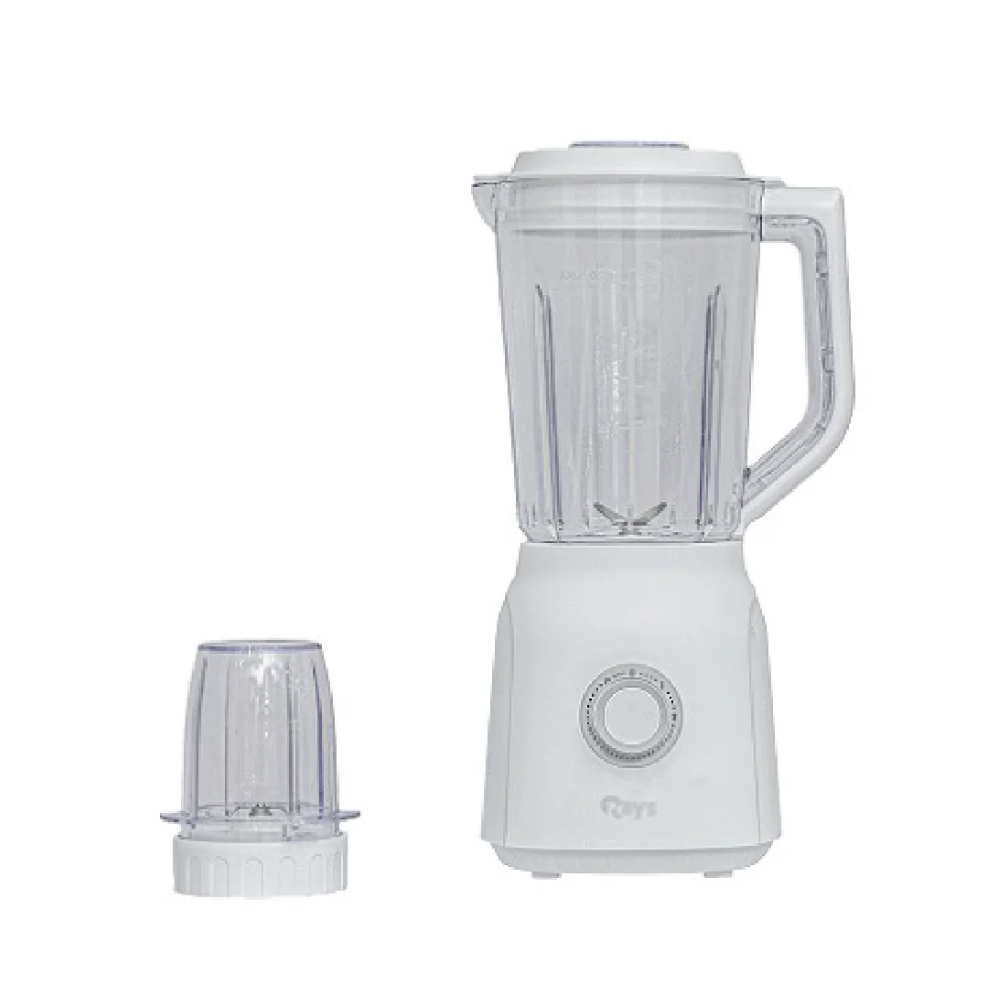 RAYS BLENDER BL250WP