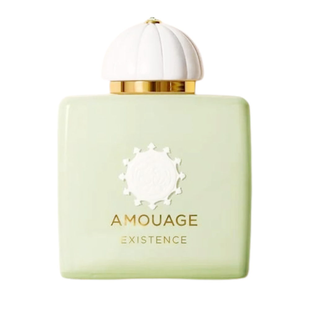 AMOUAGE EXISTENCE FOR MEN EDP 100ML