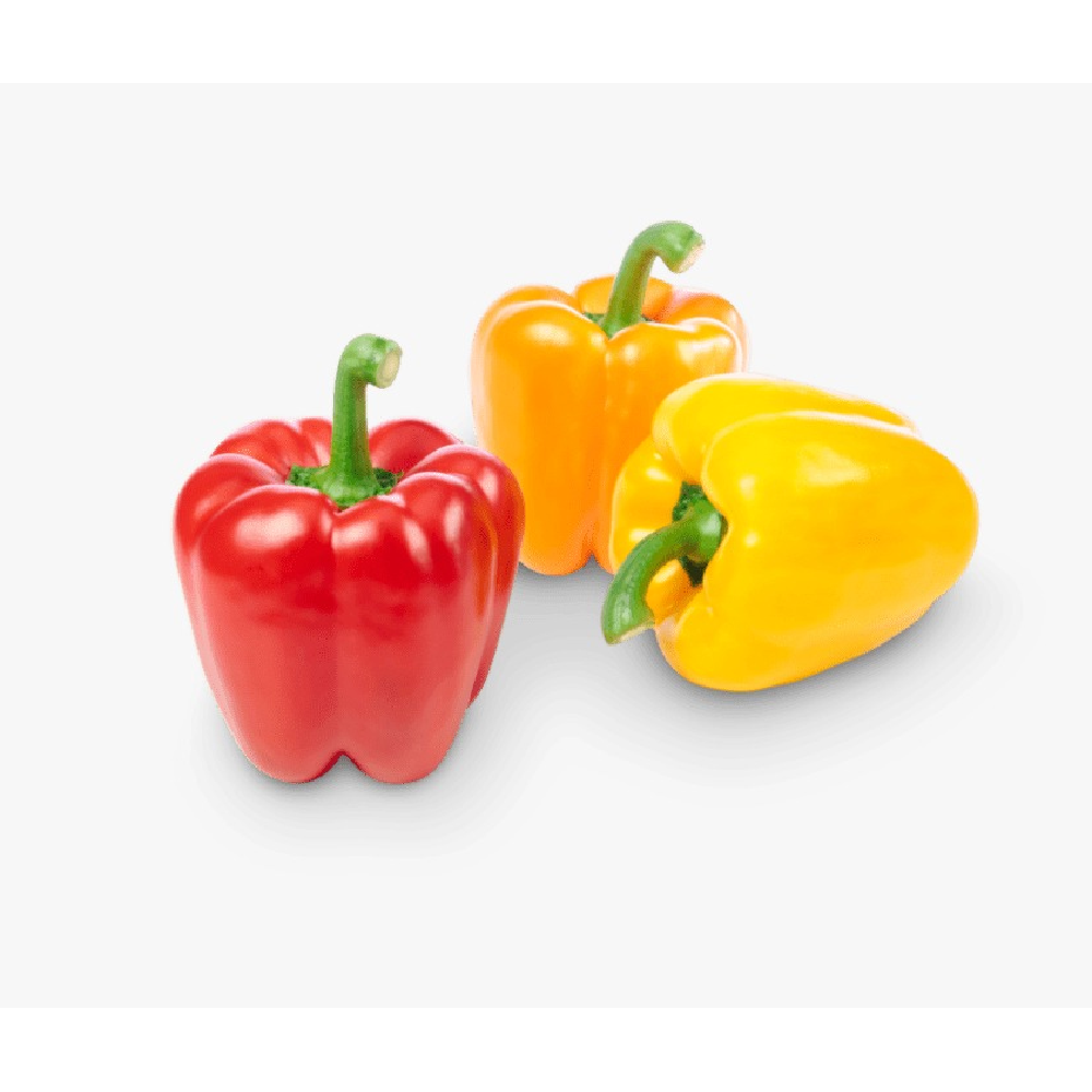 BELL PEPPER(Shimla mirch)(1 KG TO 250 GM)