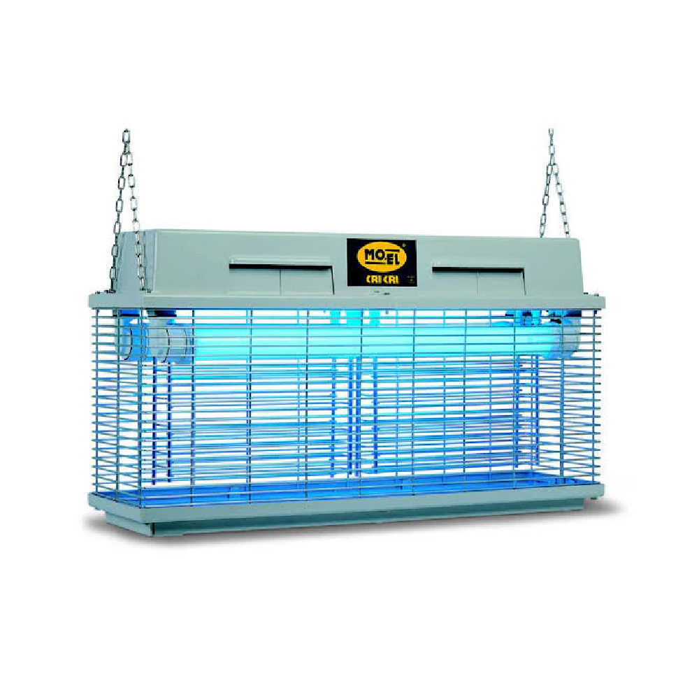 MOEL CRI CRI LARGE 307