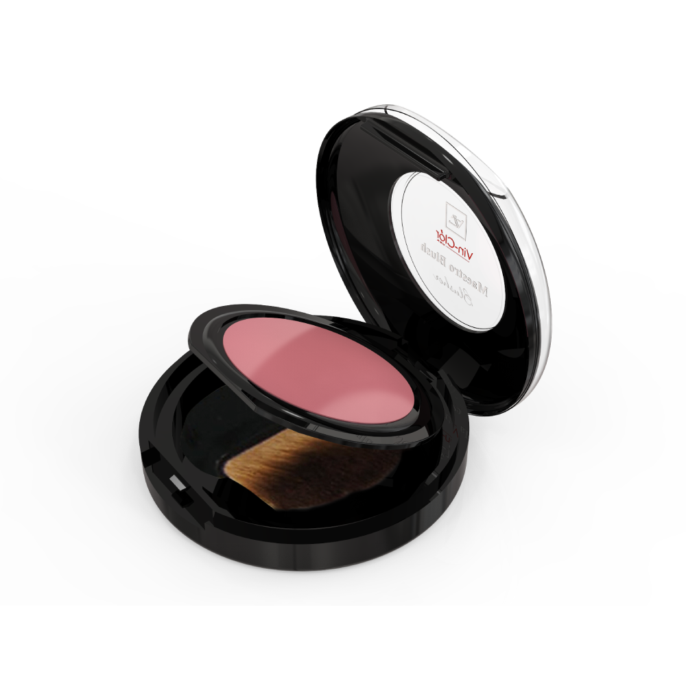 VIN CLOR MAESTREO BLUSH BLUSHER 01