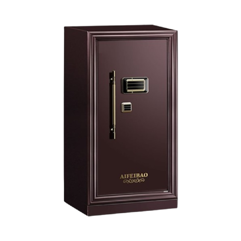 ELECTRIC SAFE IR FDG-A1/D-60LR BASIC