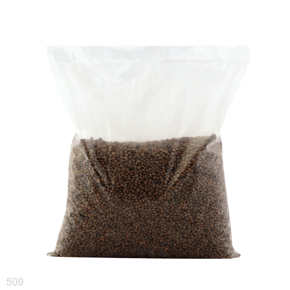 MASOOR SABAT (ZB) ( D ) 1 KG BASIC