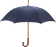 Umbrellas & Walking Sticks