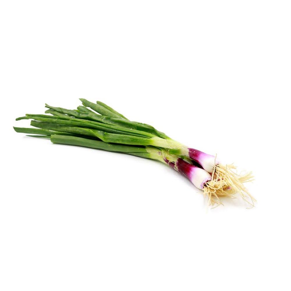 SPRING ONION (500GM TO 1KG)